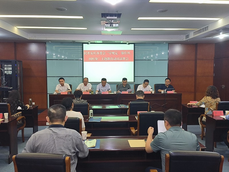 5.22  民革安徽省安庆市委会召开“学规定、强作风、树形象”主题教育动员部署会.jpg