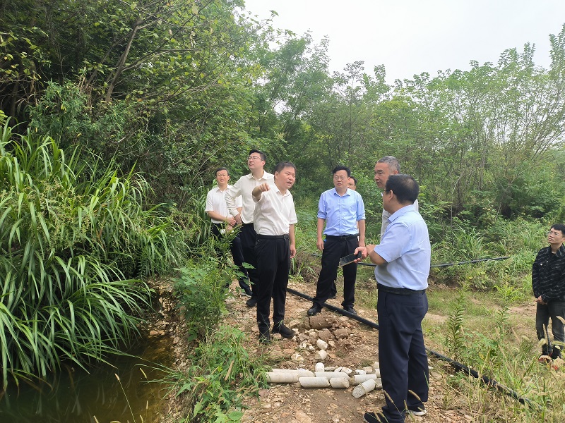 集贤关区域宕口填埋工业固废问题整改现场调研00.jpg
