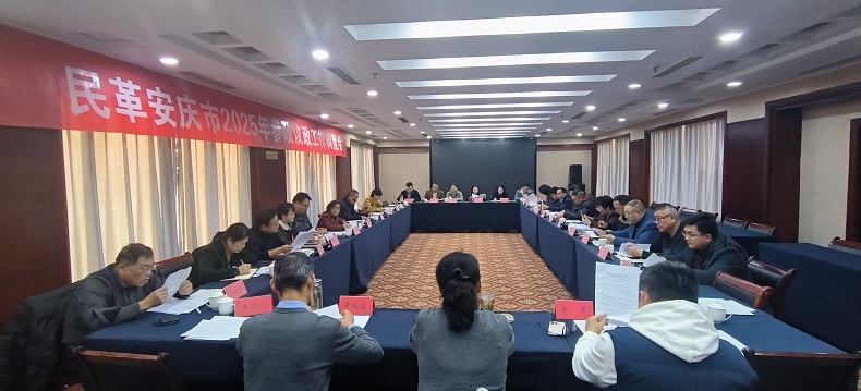 民革安庆市委会召开参政议政工作调度会00.jpg