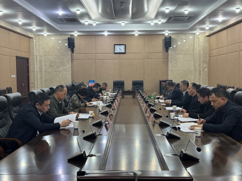 民革安庆市委会召开2025年度领导班子民主生活会00.jpg